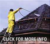 Residential Roof and Shingles Powerwashing